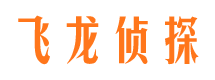 柏乡侦探公司